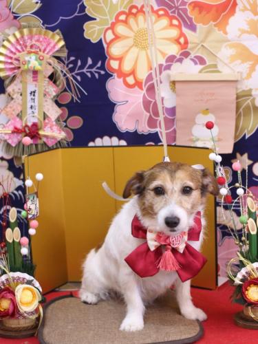 20240109こはるちゃん